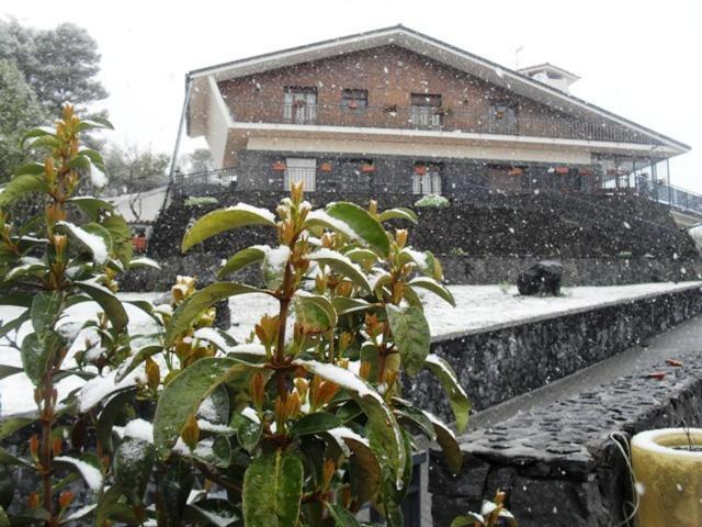 ニコロージ Etna Hut Bed & Breakfast エクステリア 写真